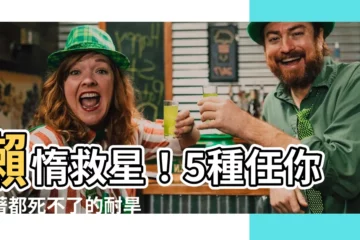 【耐種植物】懶惰救星！5種任你晾著都死不了的耐旱植物，養了就是不操心！