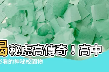 【虎高】揭秘虎高傳奇！高中生必看的神秘校園物語
