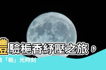 【梔】體驗梔香紓壓之旅，開啟「梔」光時刻