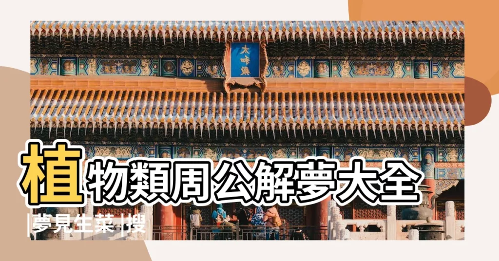 植物類周公解夢大全 |夢見生菜 |搜索結果 |【周公解夢滿園生菜】