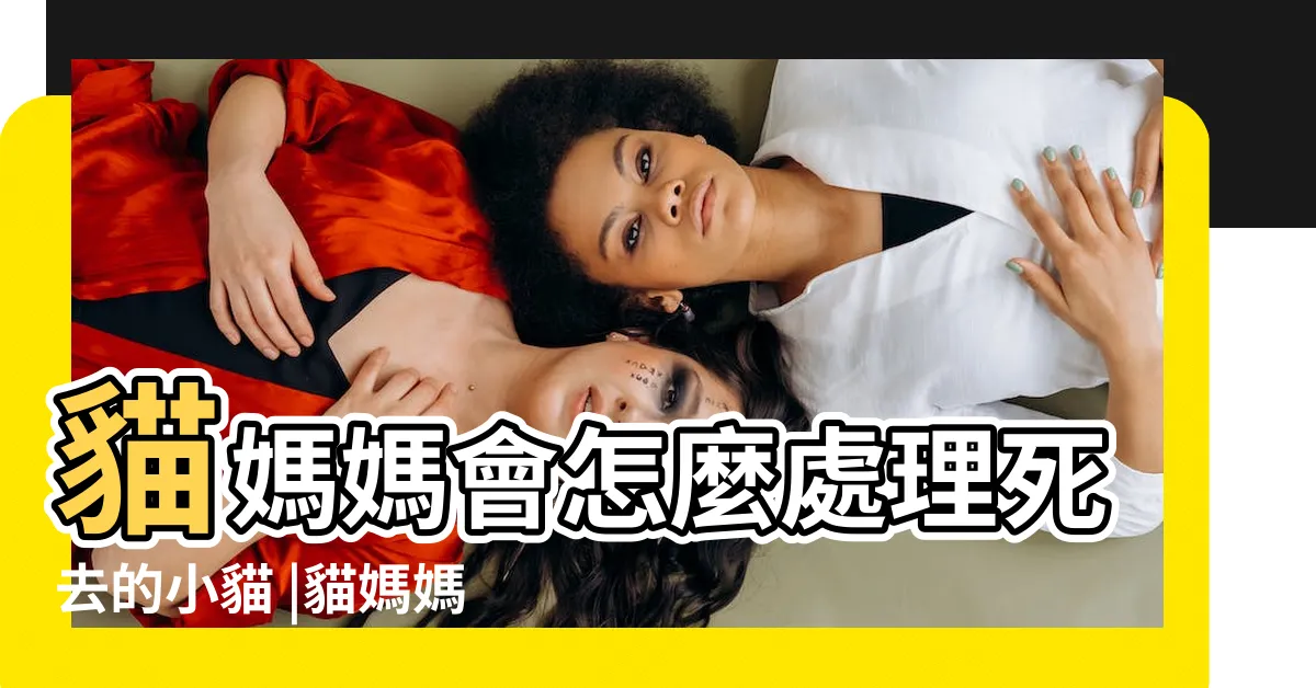 【幼貓死掉怎麼處理】貓媽媽會怎麼處理死去的小貓 |貓媽媽會怎麼處理死去的小貓 |小貓死了怎麼辦 |