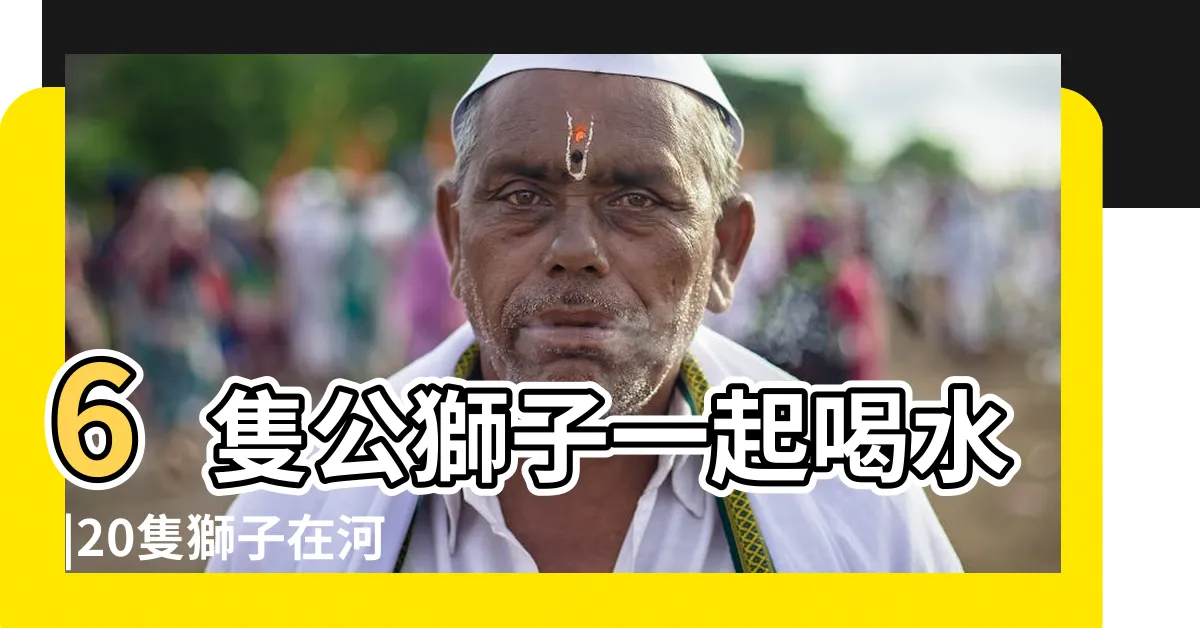 【獅子喝水】6隻公獅子一起喝水 |20隻獅子在河邊排成一列喝水場面罕見 |ㄧ起來看看母獅大姐是如何喝水的 |