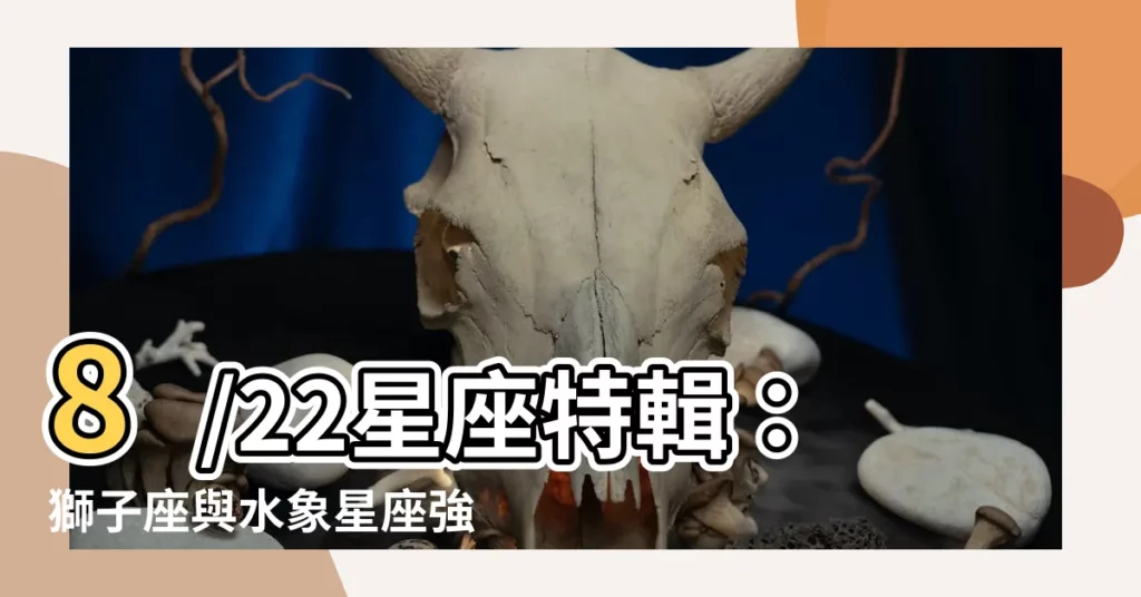 【8/22星座】8/22星座特輯:獅子座與水象星座強強聯手,運勢飆升!
