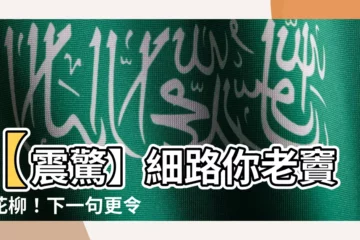 【細路 你老豆生花柳】【震驚】細路你老竇生花柳！下一句更令人髮指！