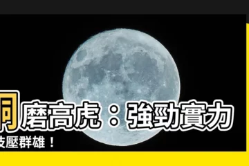 【銅磨高虎】銅磨高虎：強勁實力，技壓羣雄！