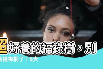 【福祿樹】超好養的福祿樹，別再養福祿桐了！5大品種推薦，新手必收藏