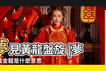 【女人夢見黃龍什麼意思】夢見黃龍盤旋 |夢見黃金龍是什麼意思 |夢見黃龍 |