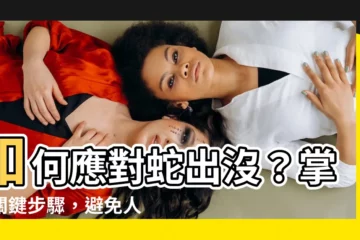 【遇到蛇怎麼辦】如何應對蛇出沒？掌握關鍵步驟，避免人蛇衝突