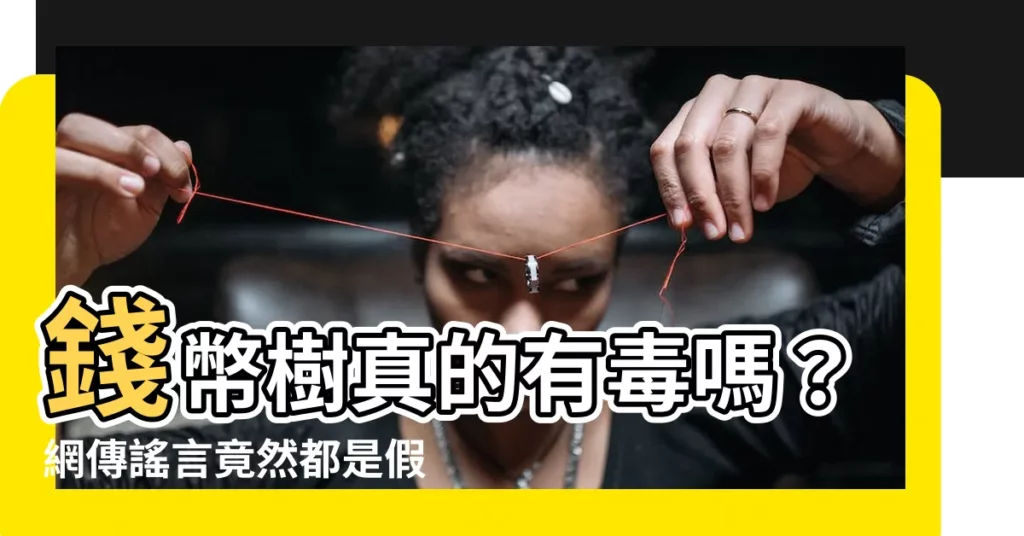 【金錢樹有毒嗎】錢幣樹真的有毒嗎？網傳謠言竟然都是假的！