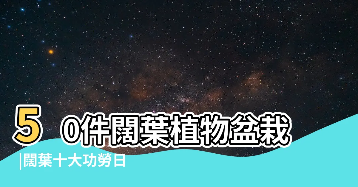 【闊葉盆栽】50件闊葉植物盆栽 |闊葉十大功勞日常養護照顧方法 |
