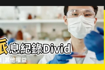 【查詢2018 10 18】派息紀錄Dividend |其他權益 |加權指數 |