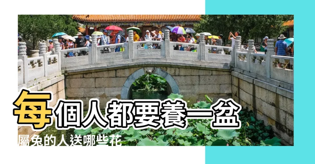 每個人都要養一盆 |屬兔的人送哪些花適合 |屬兔人適合種植哪些花 |【屬兔人的花】