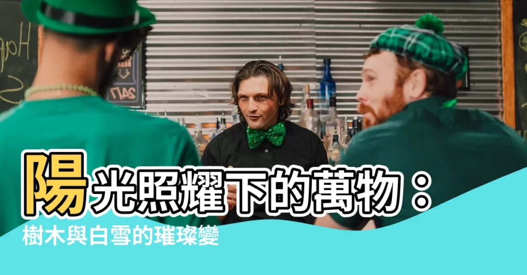 【陽光照】陽光照耀下的萬物：樹木與白雪的璀璨變身