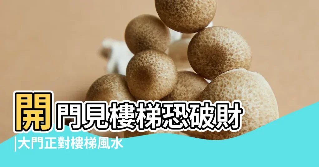 開門見樓梯恐破財 |大門正對樓梯風水大忌之破解方法 |大門正對往上之樓梯 |【大門衝樓梯間】