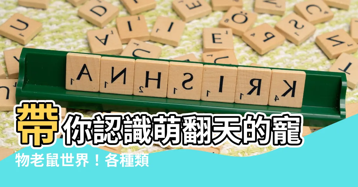 【寵物老鼠種類】帶你認識萌翻天的寵物老鼠世界！各種類鼠飼養攻略大公開