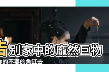 【不要的魚缸怎麼辦】告別家中的龐然巨物！你的不要的魚缸去哪了？