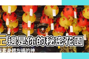 【左邊是哪裏】左邊是你的秘密花園！探索身體左邊的神秘器官