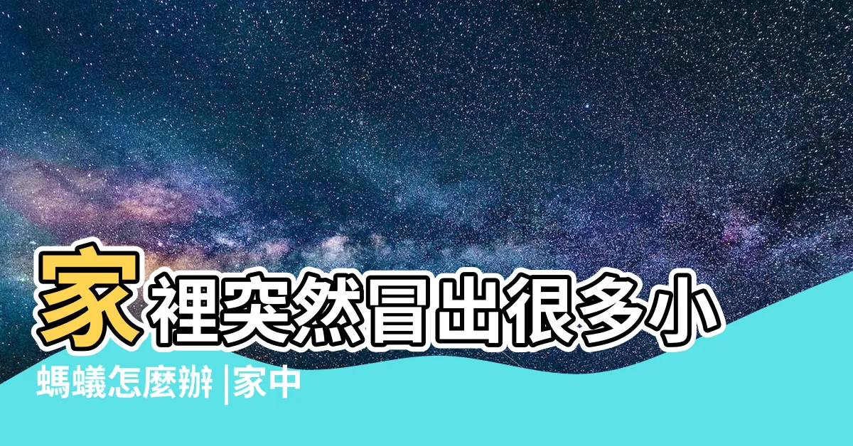 【為什麼家裡很多螞蟻】家裡突然冒出很多小螞蟻怎麼辦 |家中突然出現很多小螞蟻怎麼辦 |家裡螞蟻多到殺不完怎麼辦 |