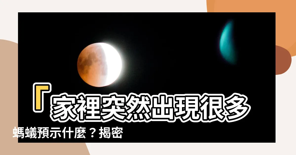 【家裡突然出現很多螞蟻預示什麼】「家裡突然出現很多螞蟻預示什麼？揭密4個不可不知的徵兆！」