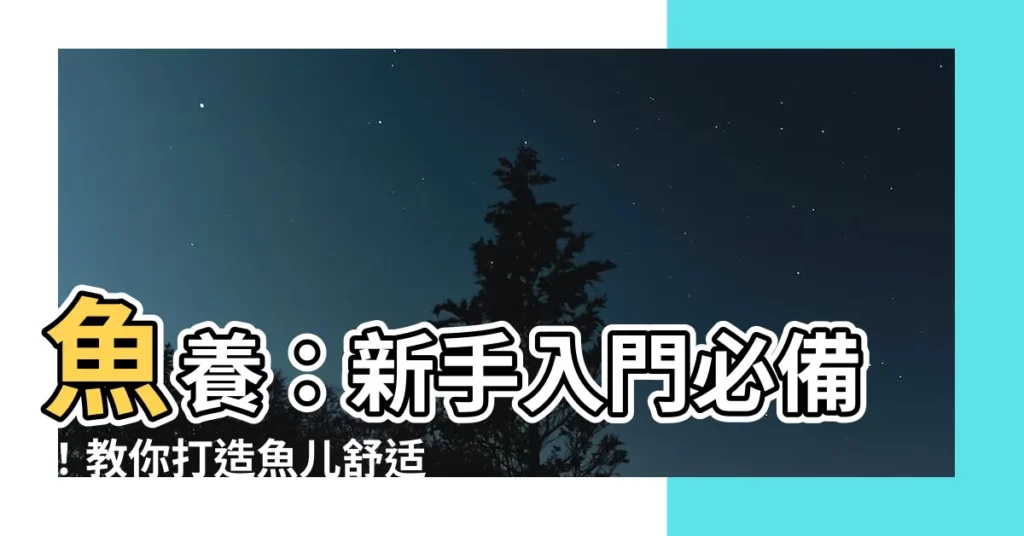 【魚養】魚養：新手入門必備！教你打造魚兒舒適安逸的家！