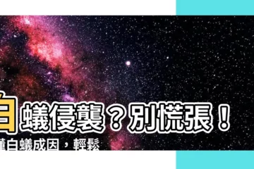 【為何有白蟻】白蟻侵襲？別慌張！秒懂白蟻成因，輕鬆滅蟻保家園