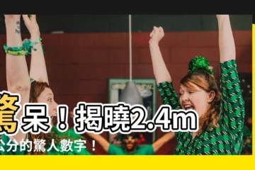 【2.4m幾公分】驚呆！揭曉2.4m換公分的驚人數字！