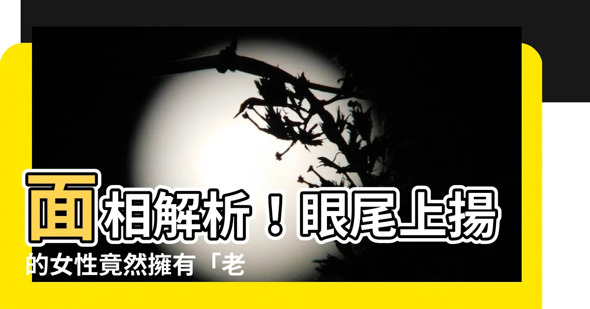 【眼尾上揚面相女】面相解析！眼尾上揚的女性竟然擁有「老細命」？