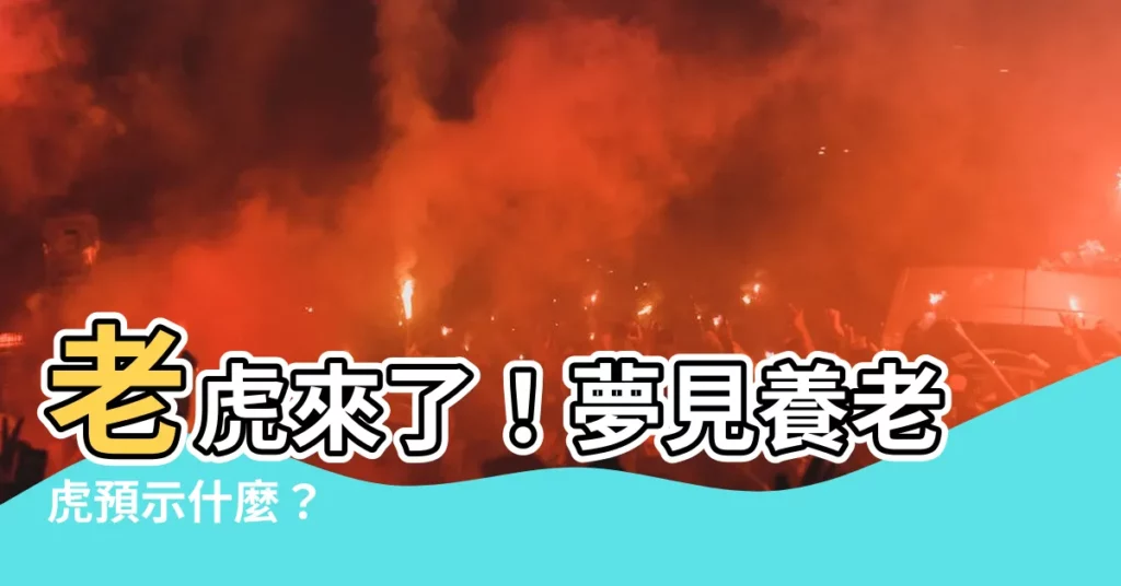 【夢見養老虎】老虎來了！夢見養老虎預示什麼？