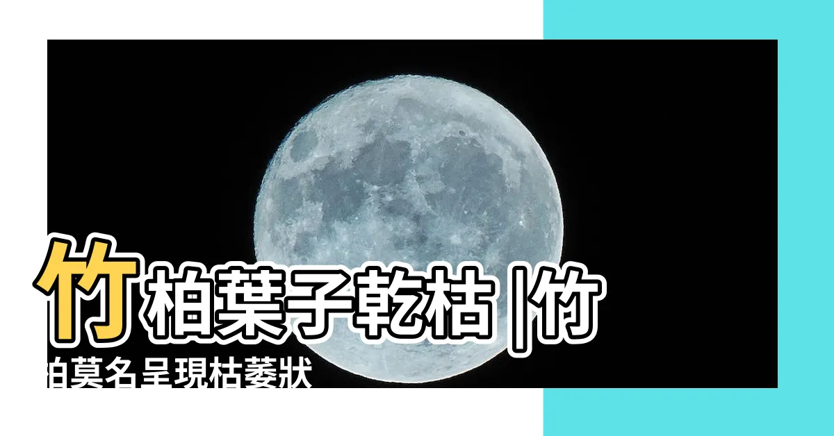 【竹柏枯萎】竹柏葉子乾枯 |竹柏莫名呈現枯萎狀 |竹柏葉子乾枯怎麼辦 |