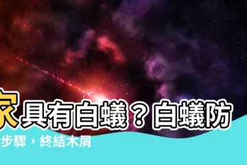 【家具有白蟻】家具有白蟻？白蟻防治3步驟，終結木屑噩夢！