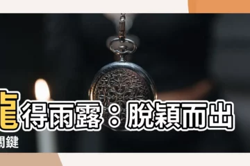 【龍得水】龍得雨露：脱穎而出的關鍵