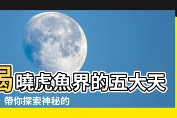 【虎魚種類】揭曉虎魚界的五大天王，帶你探索神秘的虎魚世界！