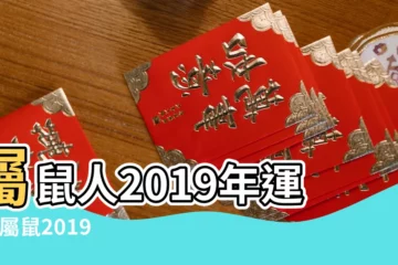 【2019年3月屬鼠人運勢如何】屬鼠人2019年運勢 |屬鼠2019年運勢及運程屬鼠人2019年全年運勢 |2019年3月份屬鼠人運勢運程解析 |