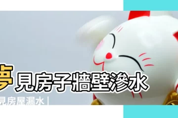 【周公解夢夢見房子裏面牆上漏雨】夢見房子牆壁滲水 |夢見房屋漏水 |夢見房子漏水是什麼意思 |