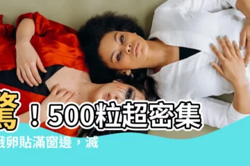 【飛鵝卵】驚！500粒超密集飛蛾卵貼滿窗邊，滅蟲專家揭開真面目