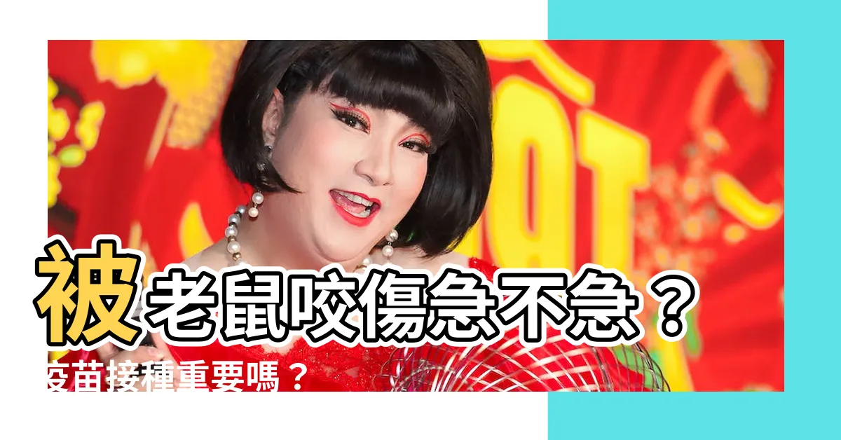 【被老鼠咬怎麼辦】被老鼠咬傷急不急？疫苗接種重要嗎？