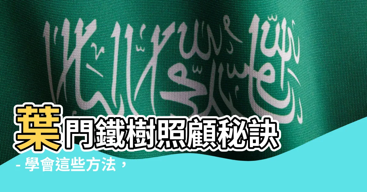 【葉門鐵樹照顧】葉門鐵樹照顧秘訣 - 學會這些方法，輕鬆養好你的葉門鐵！