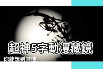 【5個字的動漫】 超神5字動漫藏鏡人！ 你能想到其他嗎？