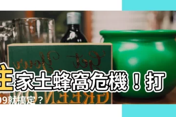 【住家土蜂窩】住家土蜂窩危機！打1999就搞定？