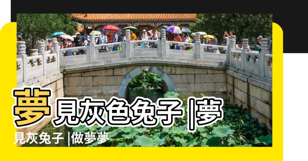 夢見灰色兔子 |夢見灰兔子 |做夢夢見灰兔子 |【夢見有人送我灰兔子】