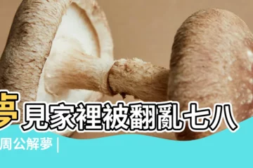 【夢見家裏被翻的很亂】夢見家裡被翻亂七八糟 |周公解夢 |做夢夢見家裡很亂好不好 |