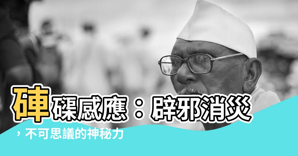 【硨磲感應】硨磲感應：辟邪消災，不可思議的神秘力量！