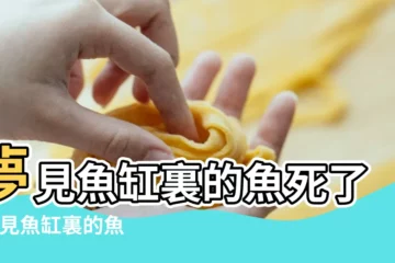 【夢見家裏魚缸死魚】夢見魚缸裏的魚死了 |夢見魚缸裏的魚死了 |夢見魚缸裏的魚死了 |