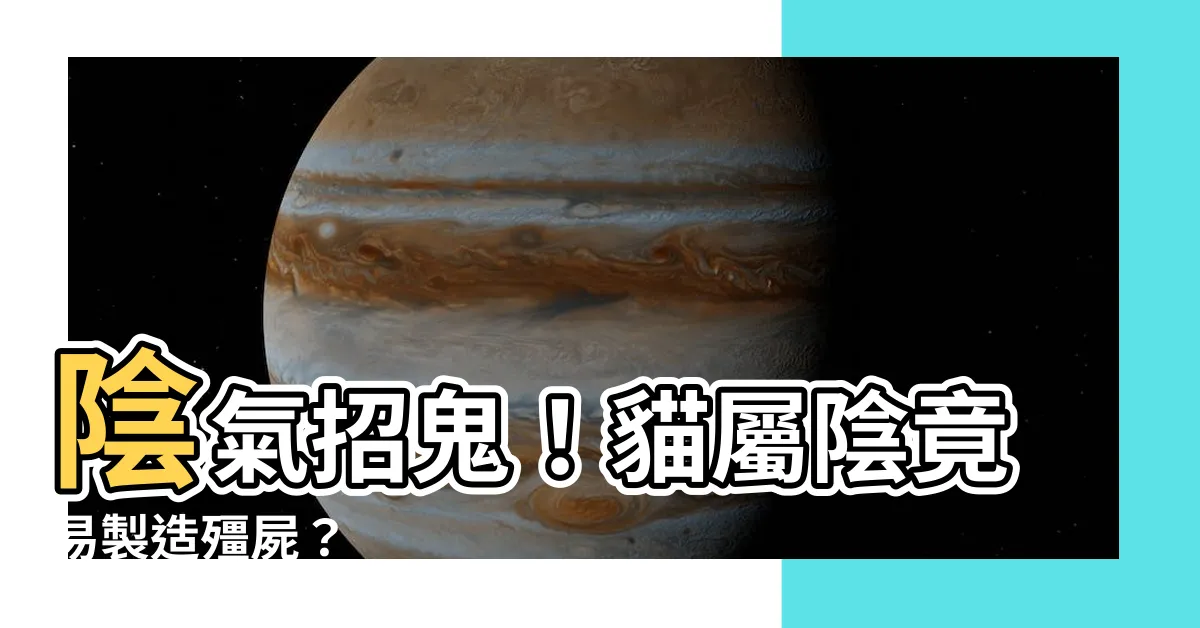 【貓屬陰】陰氣招鬼！貓屬陰竟易製造殭屍？