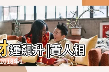 【2018年屬虎的運程財運】財運飆升 |貴人相助 |2018年12生肖運勢詳解 |