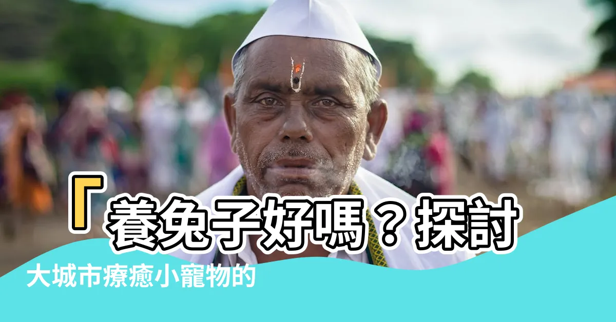 【養兔子好嗎】「養兔子好嗎？探討大城市療癒小寵物的優/缺點」