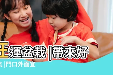 【門口外面可以放盆栽嗎】旺運盆栽 |帶來好財氣 |門口外面宜放什麼植物 |