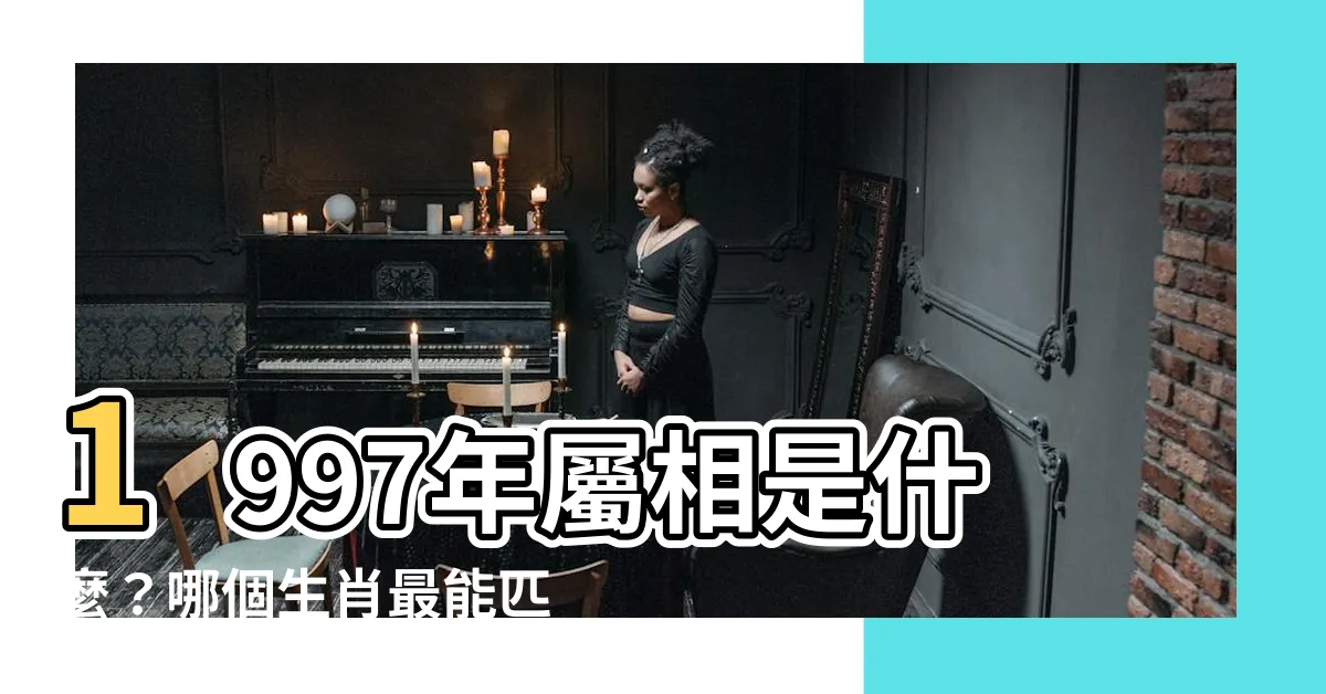 【1997是什麼生肖】1997年屬相是什麼？哪個生肖最能匹配1997年屬牛的人？