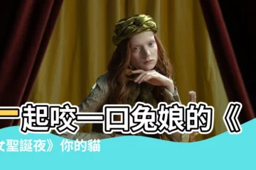 【咬一口兔娘】一起咬一口兔孃的《魔女聖誕夜》你的貓咪～