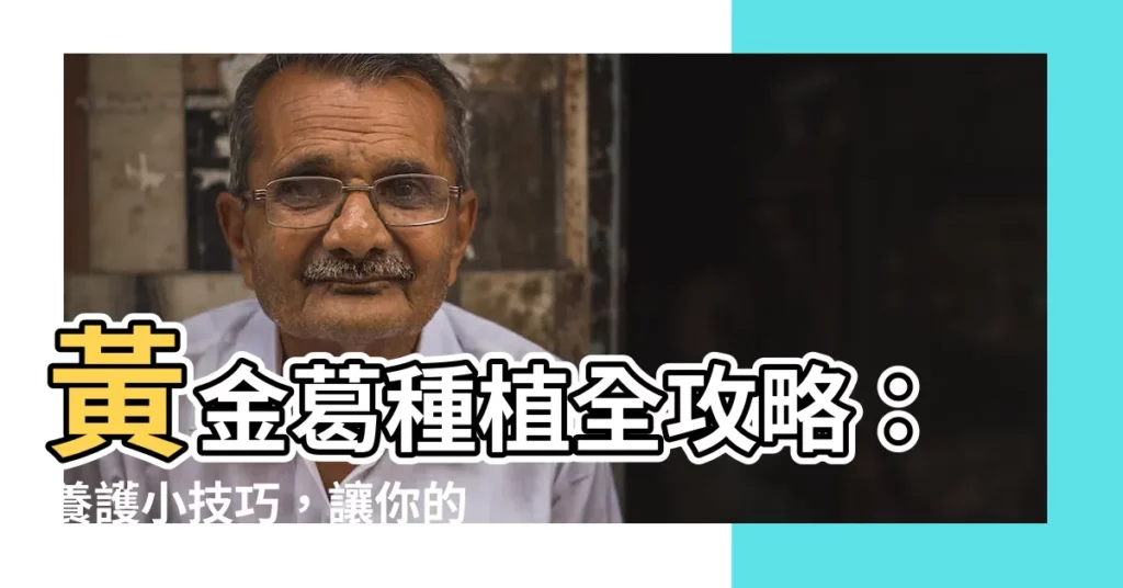 【黃金葛種植】黃金葛種植全攻略：養護小技巧，讓你的黃金葛蓬勃生長！